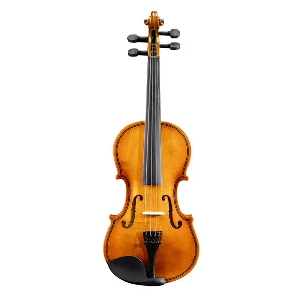 Brand New 1 4 Acoustic Violin