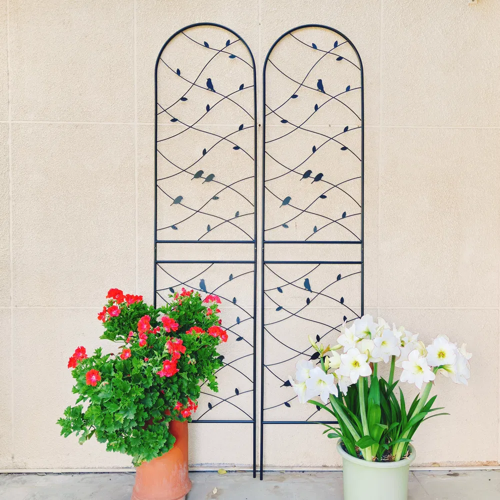 2 Pack Metal Garden Trellis 86.7" X 19.7" Rustproof Trellis For Climbing Plants Outdoor Flower Support Bird Deco Black Black - Shop at LoveMi