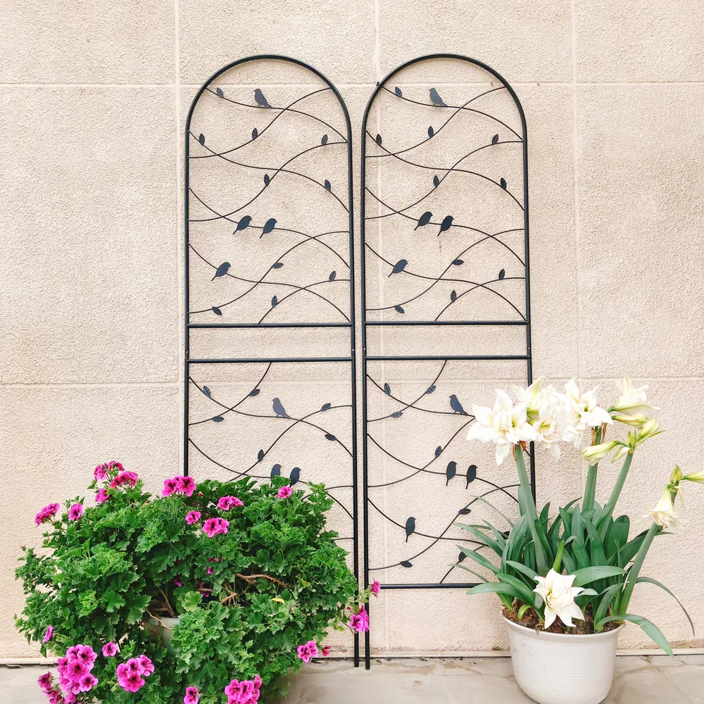 2 Pack Metal Garden Trellis 71" X 19.7" Rustproof Trellis For Climbing Plants Outdoor Flower Support Bird Deco Black Black - Shop at LoveMi