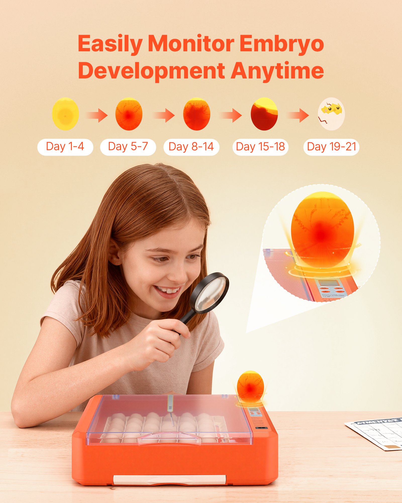 36 Egg Incubator, Automatic Egg Turner With LED Candler & Water Tray, Temperature & Humidity Control, 360° View Clear Window, Poultry Eggs Incubators For Hatching Chicks Ducks Goose Quails image 5
