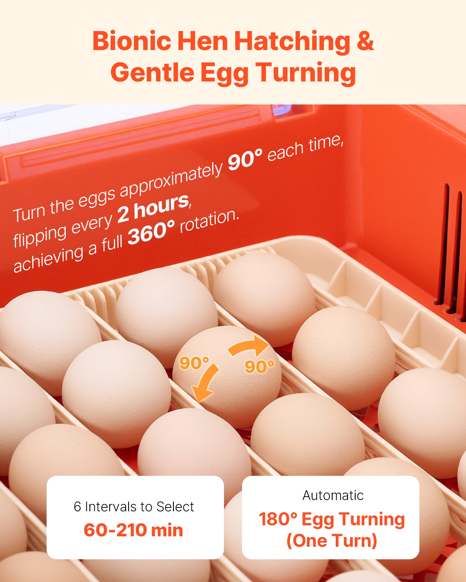 36 Egg Incubator, Automatic Egg Turner With LED Candler & Water Tray, Temperature & Humidity Control, 360° View Clear Window, Poultry Eggs Incubators For Hatching Chicks Ducks Goose Quails image 4