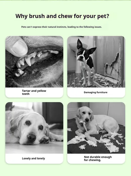 DOG Chew Toys For Teeth Cleaning,Pet Sausage Chew Brush,Pet Chew & Clean Buddy