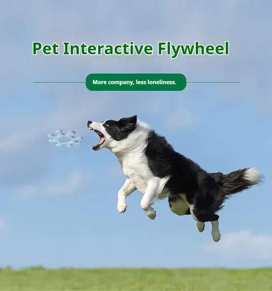 Pet Interactive Flywheel, Dog Toy, Fun Interactions