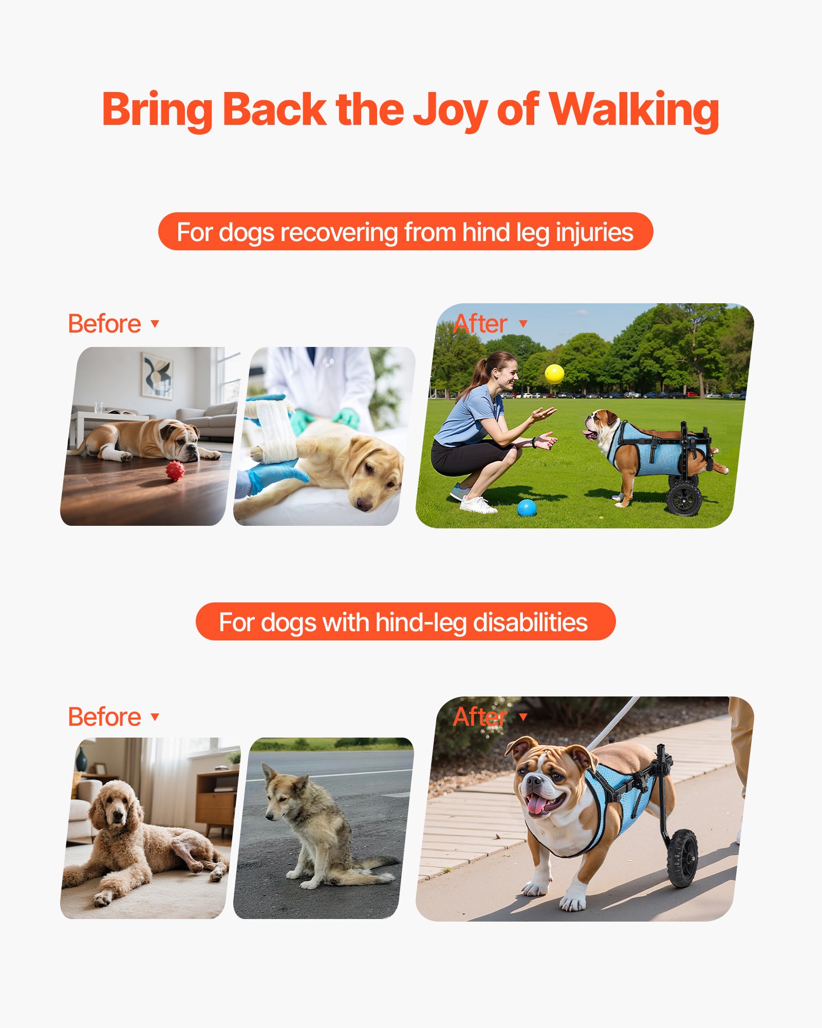 Dog Wheelchair For Back Legs, Adjustable 2 Wheels Pet Wheelchair, Lightweight Dog Cart With Shock-Absorbing Wheels,… - 3
