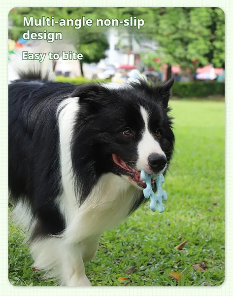 Pet Interactive Flywheel,Dog Frisbee Toy,Fun Interactions Buildstronger Bonds