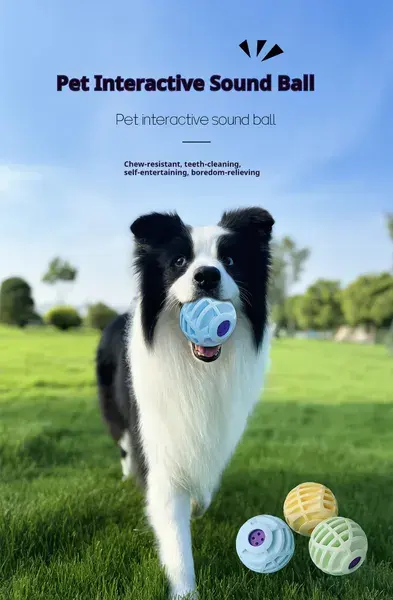 Pet Interactive Sound Ball, The Mellow Dog