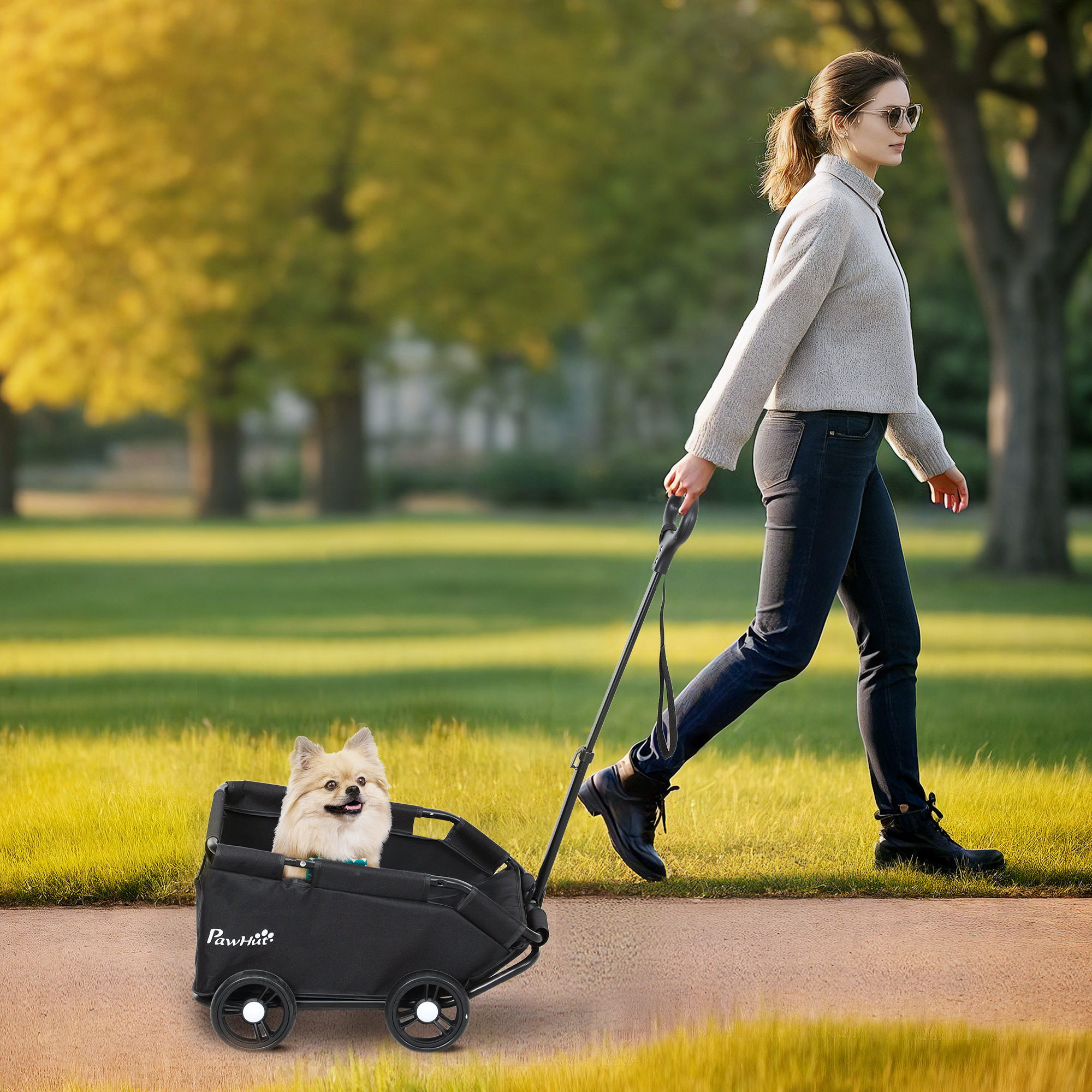 PawHut Pet Wagon Cart, Dog Stroller For Small Dogs And Cats