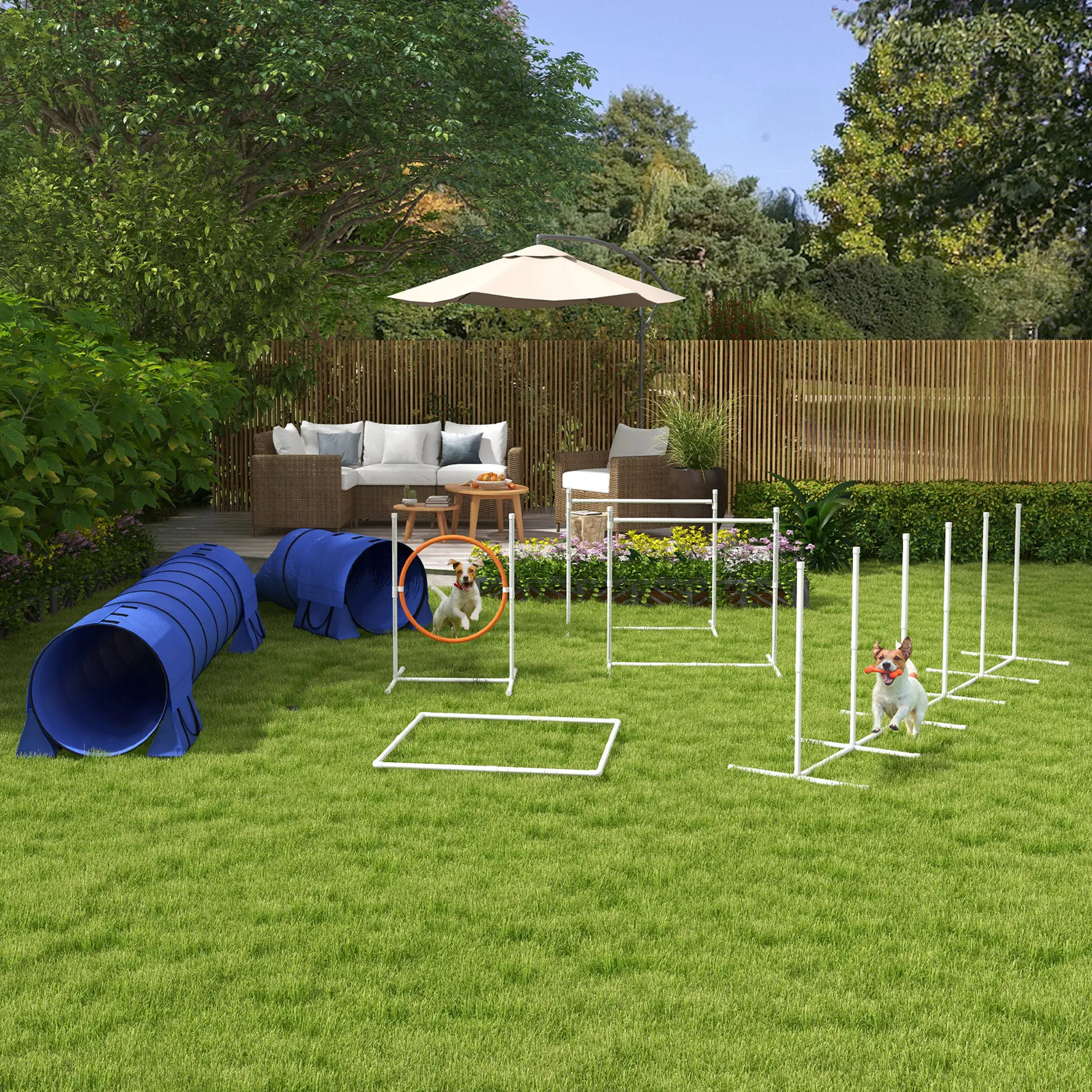 Agility Training Equipment for Dogs w Tunnels
