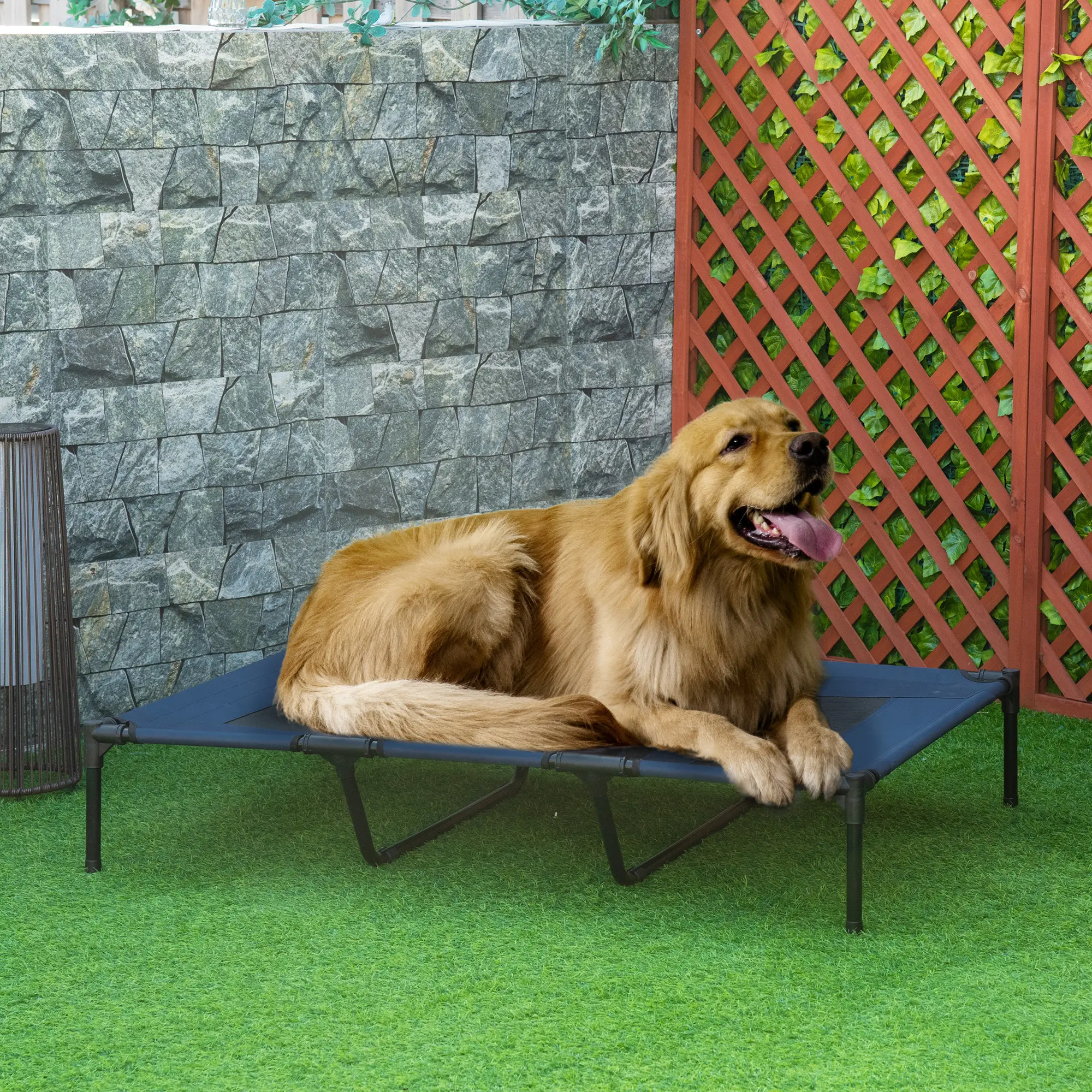 48" x 36" Elevated Breathable Dog Bed