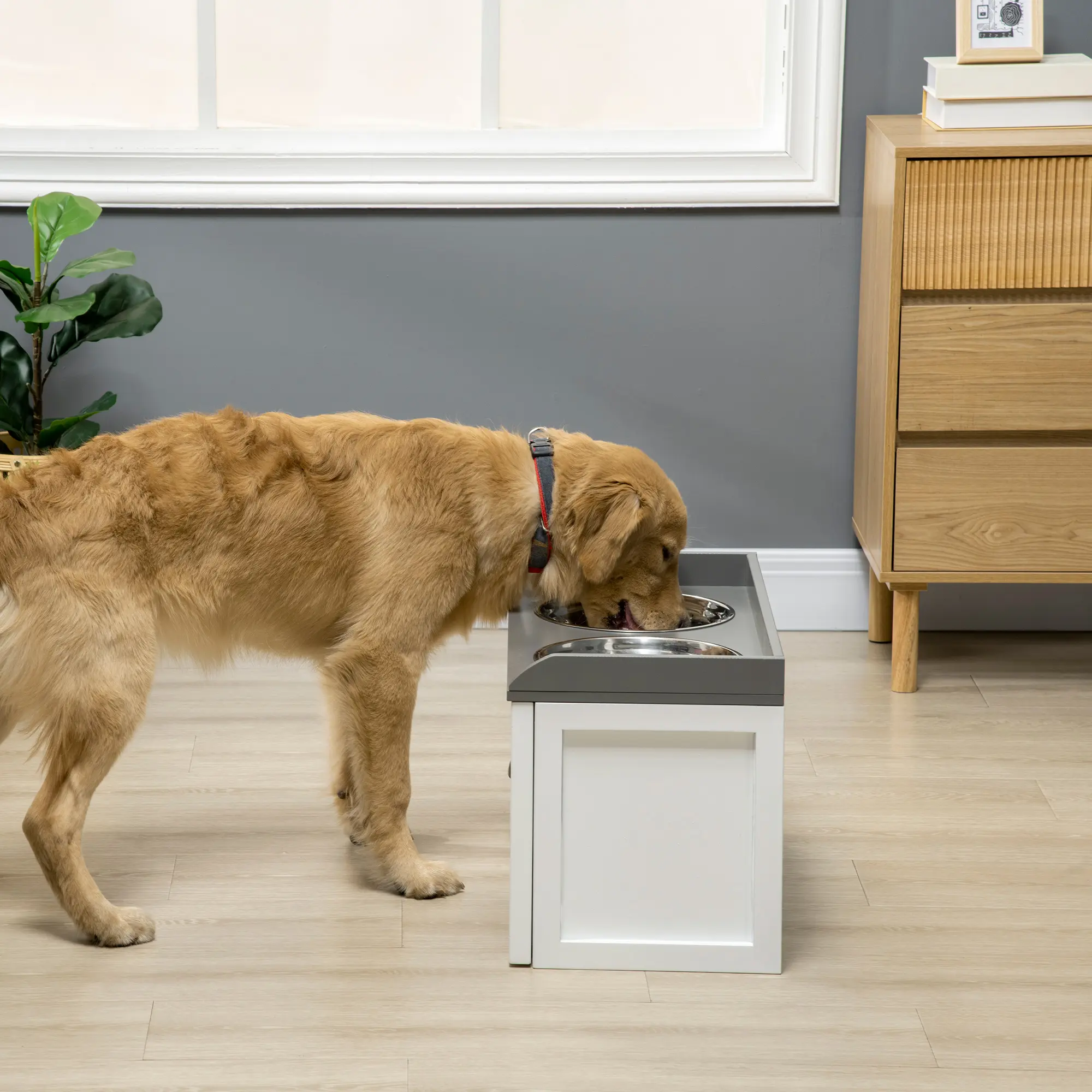 Pet Feeding Station Dish Bowl Set
