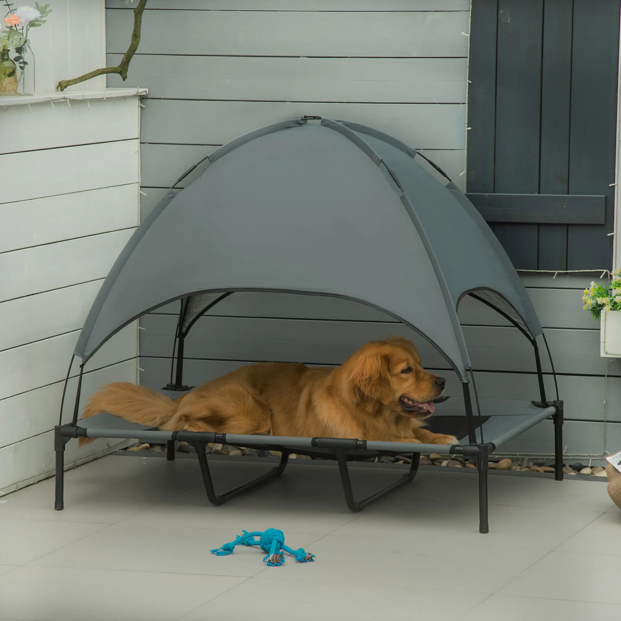 48" x 36" Elevated Portable Dog Cot