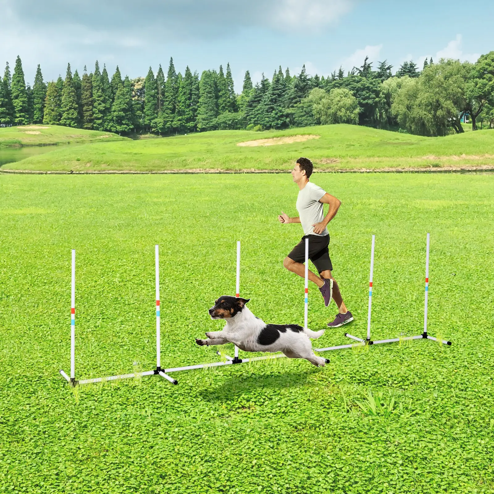 Sturdy Dog Weaves Poles Pet Speed