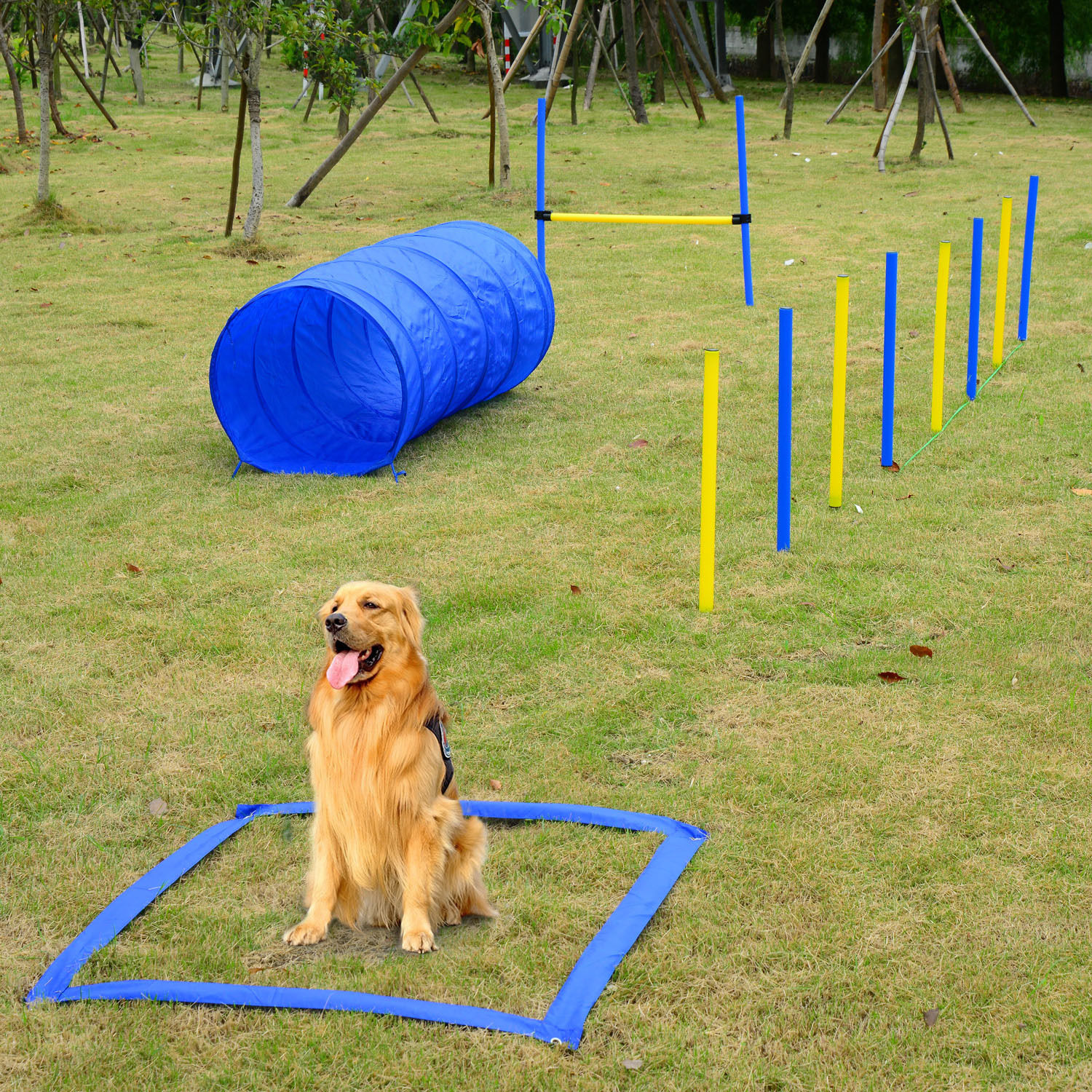  Competition Dog Agility Equipment Obstacle Course Set for Outdoor Backyard, Blue and Yellow