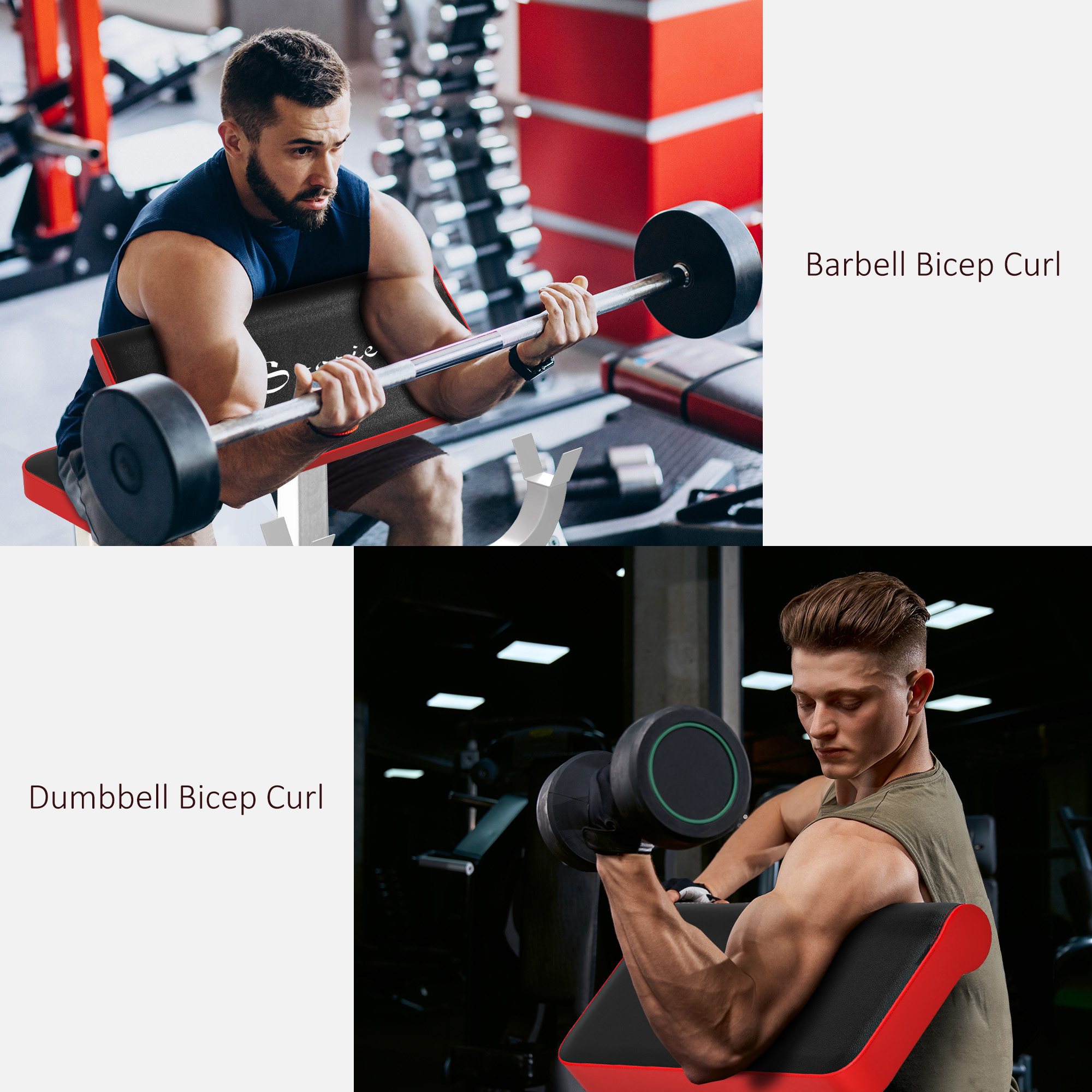 Banc de curl de prédicateur de 265 LBS pour l'entraînement de force – Image 7