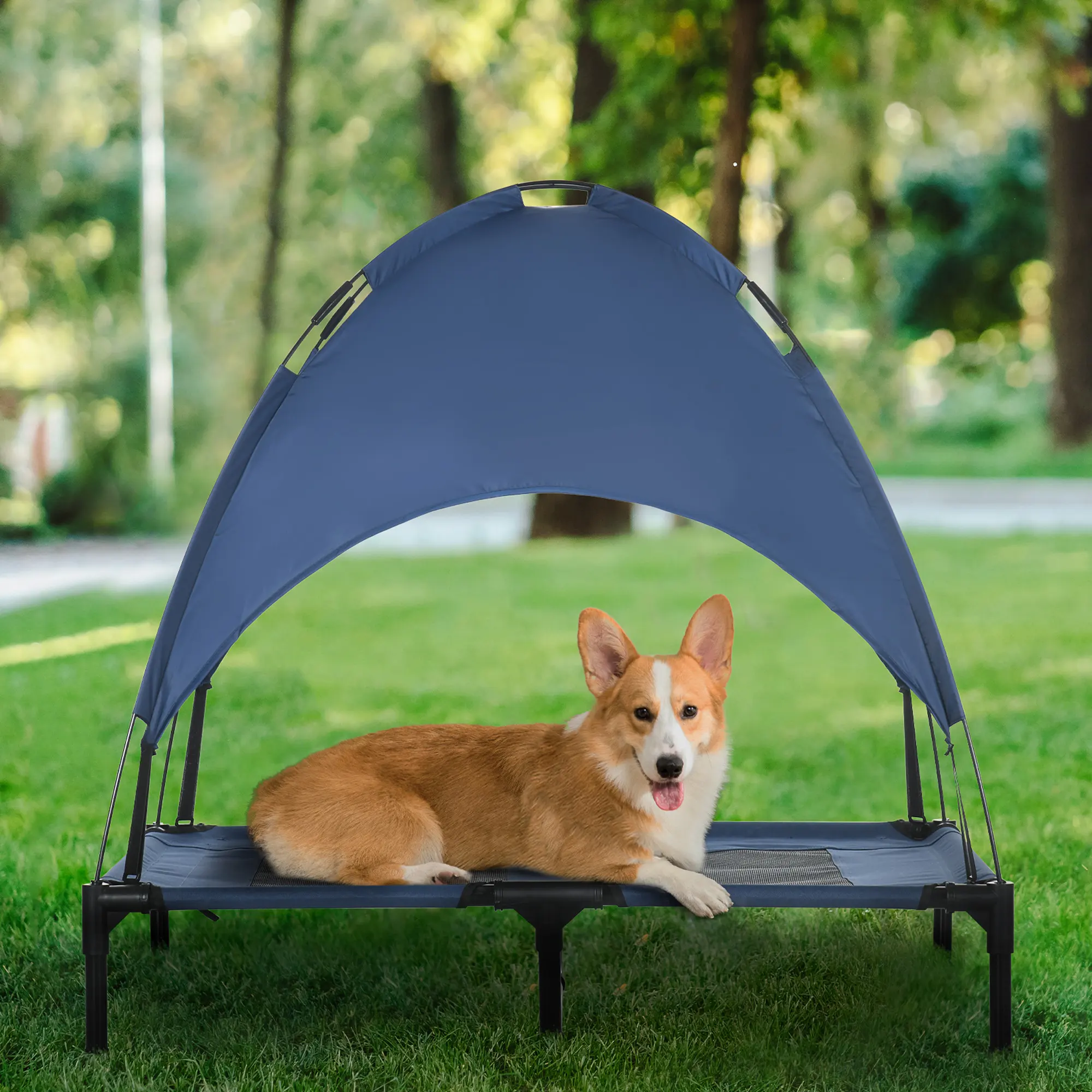 Elevated Portable Dog Cot Pet Bed