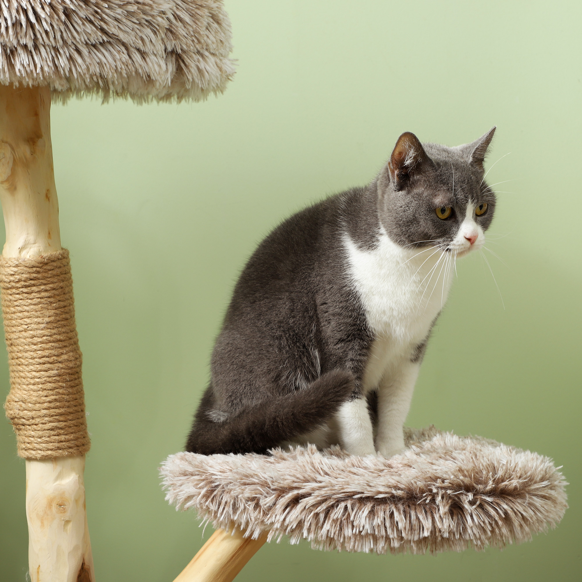  35 Inch Modern Cat Tree for Indoor Adult Cats with Wooden Scratching Posts, Cat Bed & Rope Cat Toy, Brown