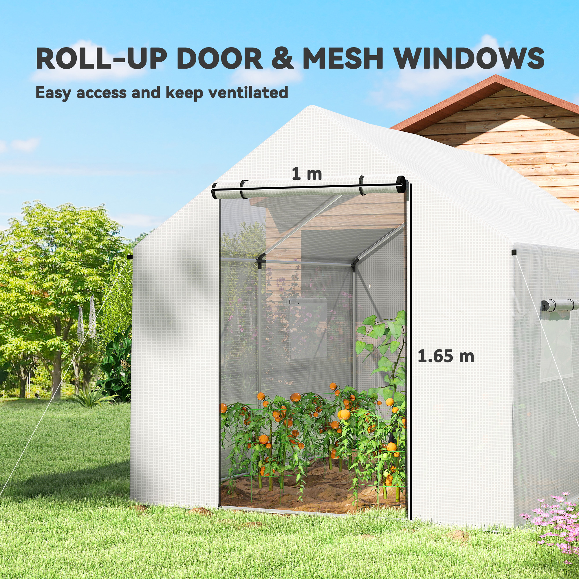 Polyethylene Walk-in Polytunnel Greenhouse, 2 X 3(m), White — image 5