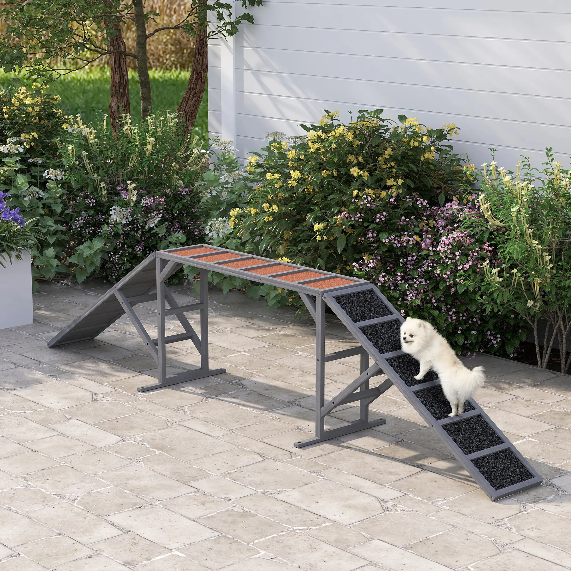 Dog Agility Equipment Ramp