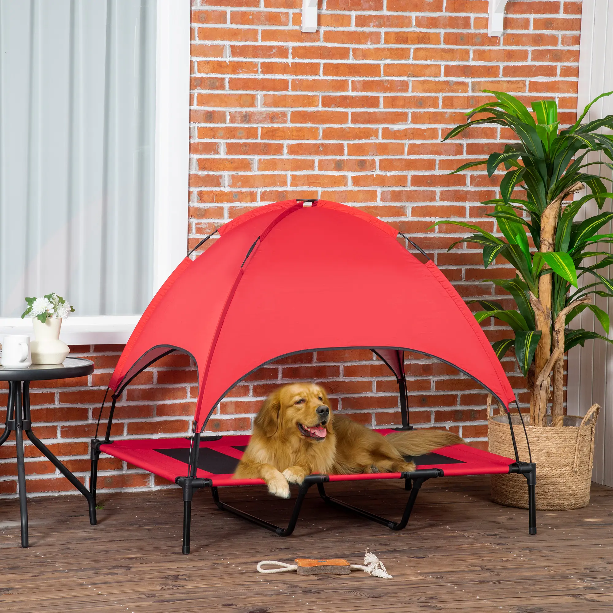 48" x 36" Elevated Portable Dog Cot