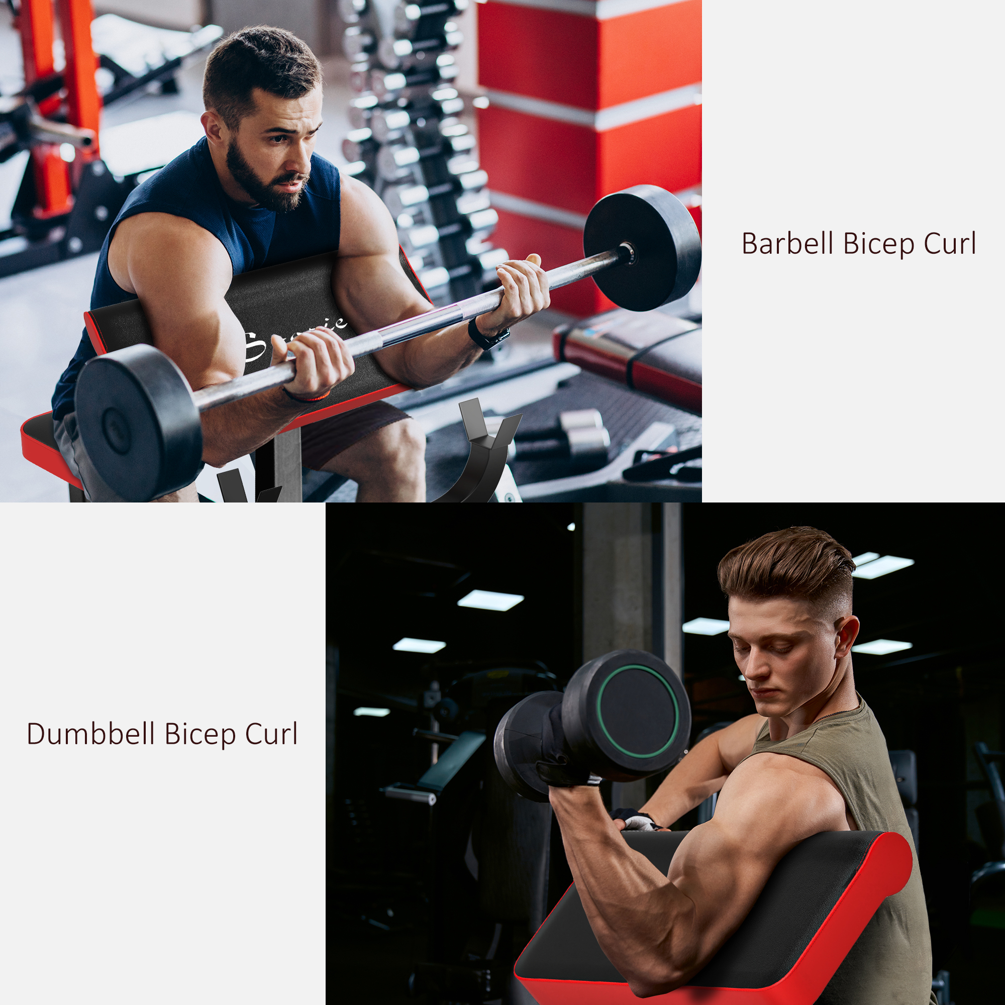 Banc de curl de prédicateur de 265 lb pour l'entraînement de force – Image 8