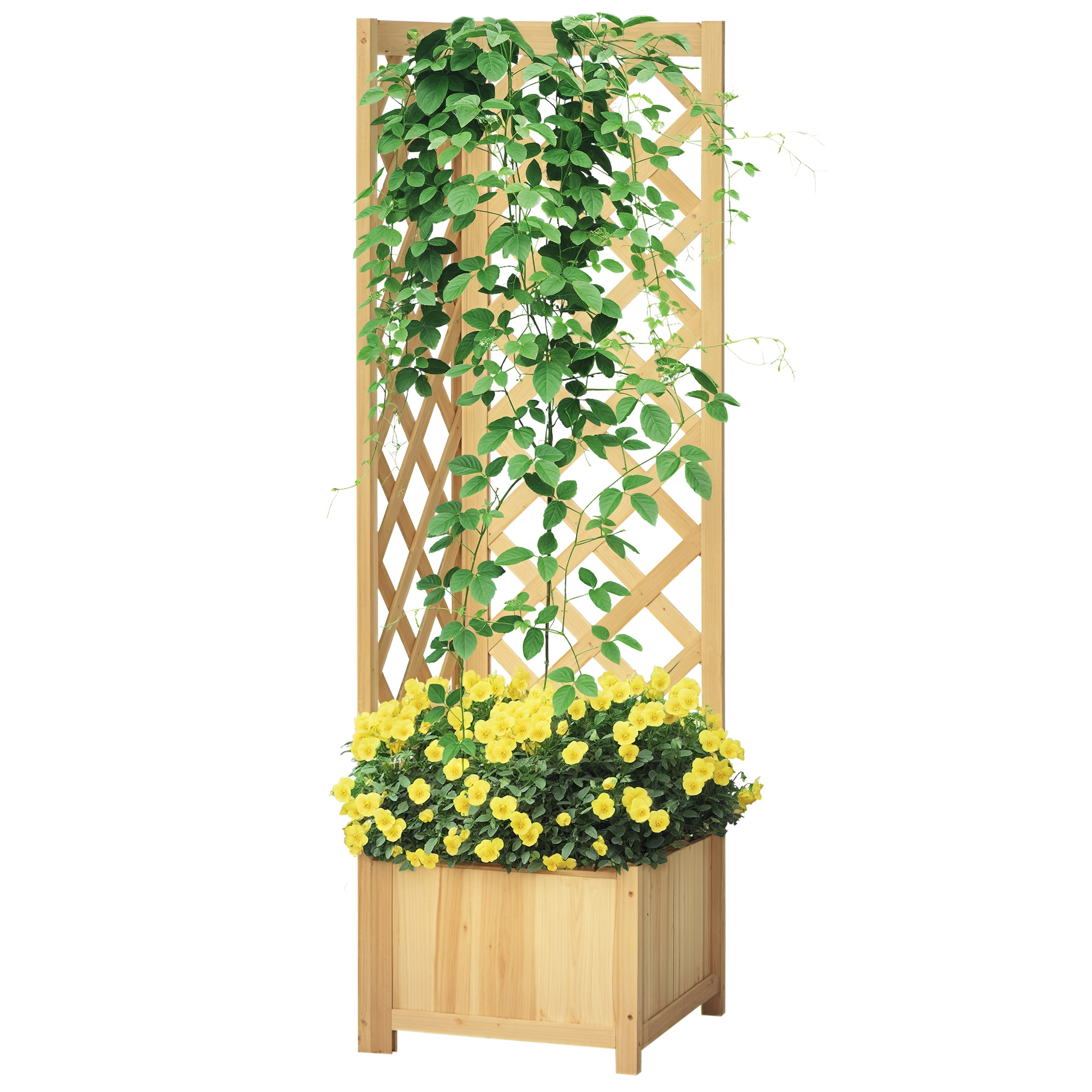 Wooden Raised Garden Bed with Trellis, picture 3 of 3