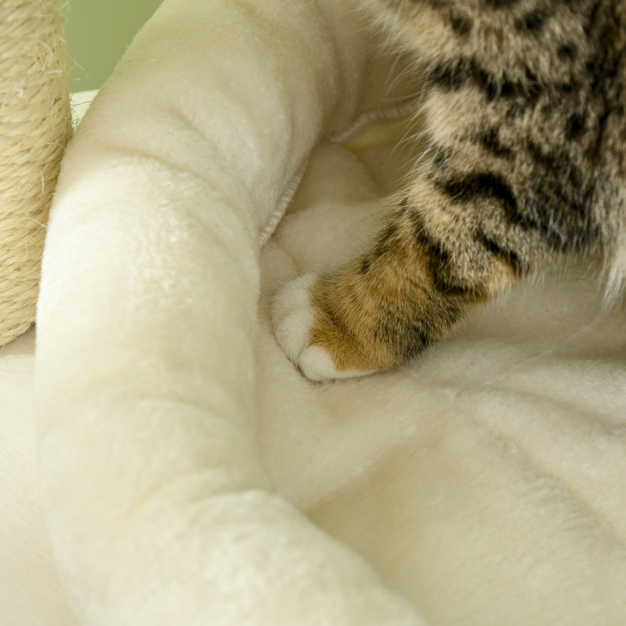  Cat Tree, 3 Level Cat Tower with Scratching Posts, Bed, Condo, Badminton Toys, for Multiple Kittens
