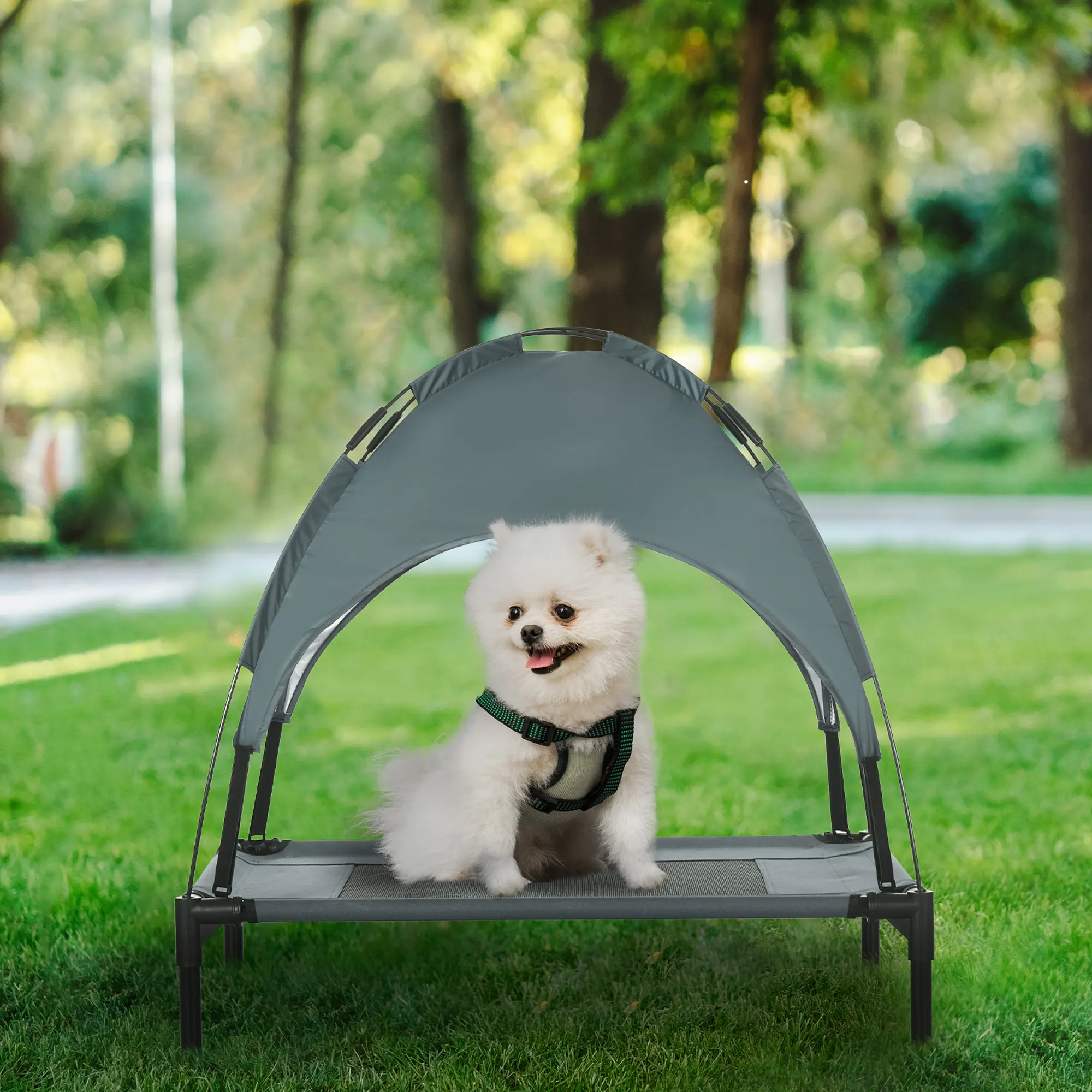 Elevated Dog Bed with Removable Canopy, Outdoor