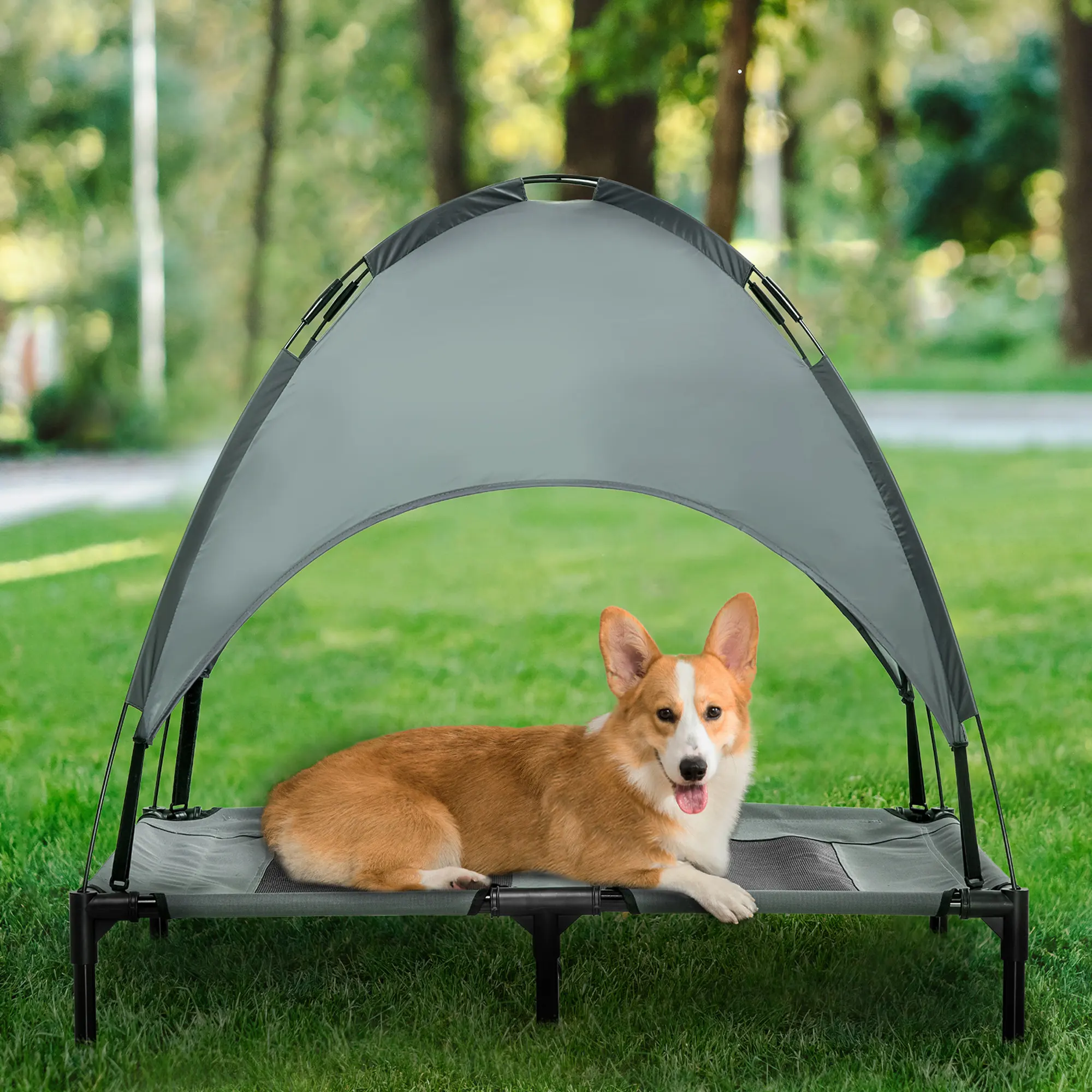 Elevated Dog Bed with Removable Canopy, Outdoor