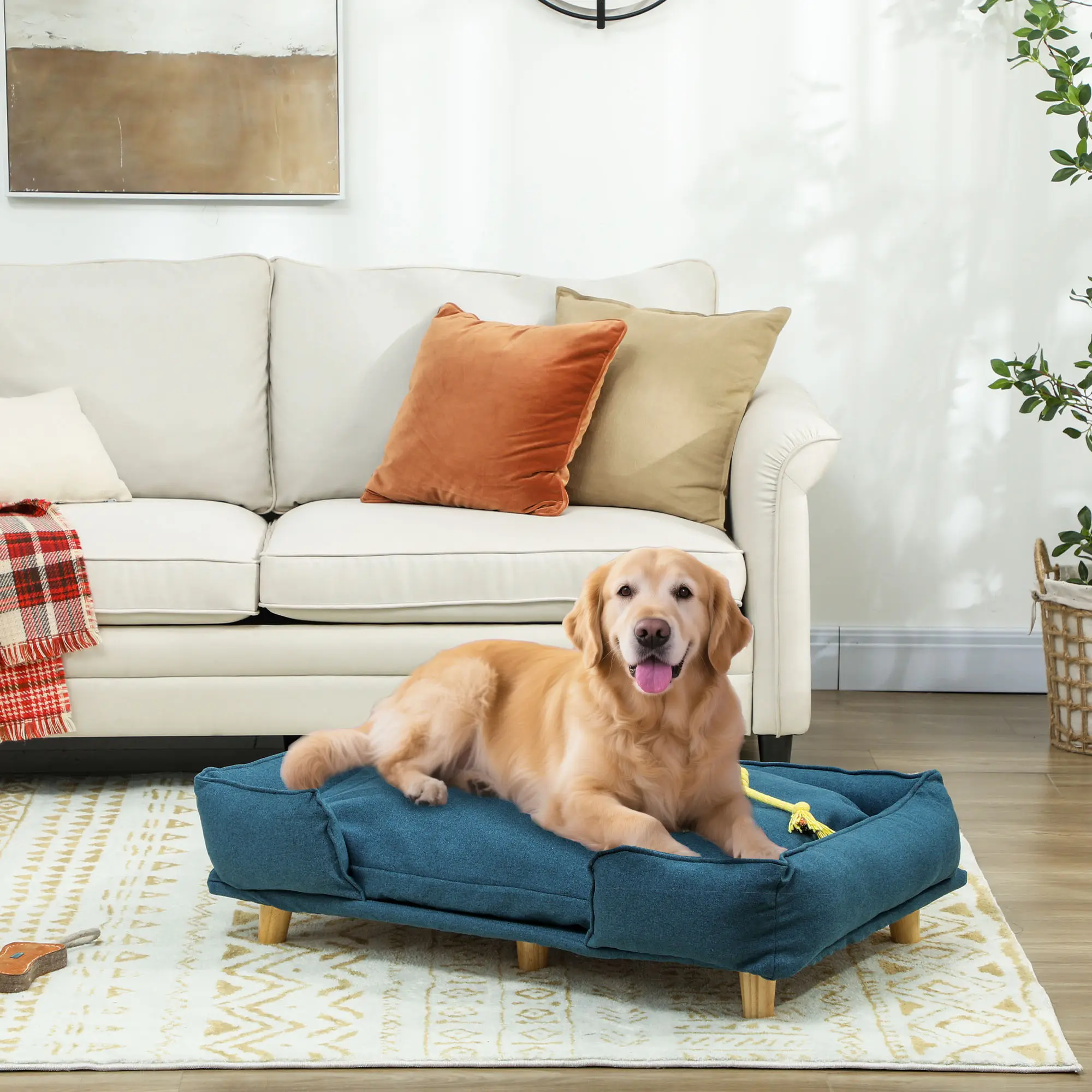 Raised Dog Couch with Comfortable Cushion, Pine