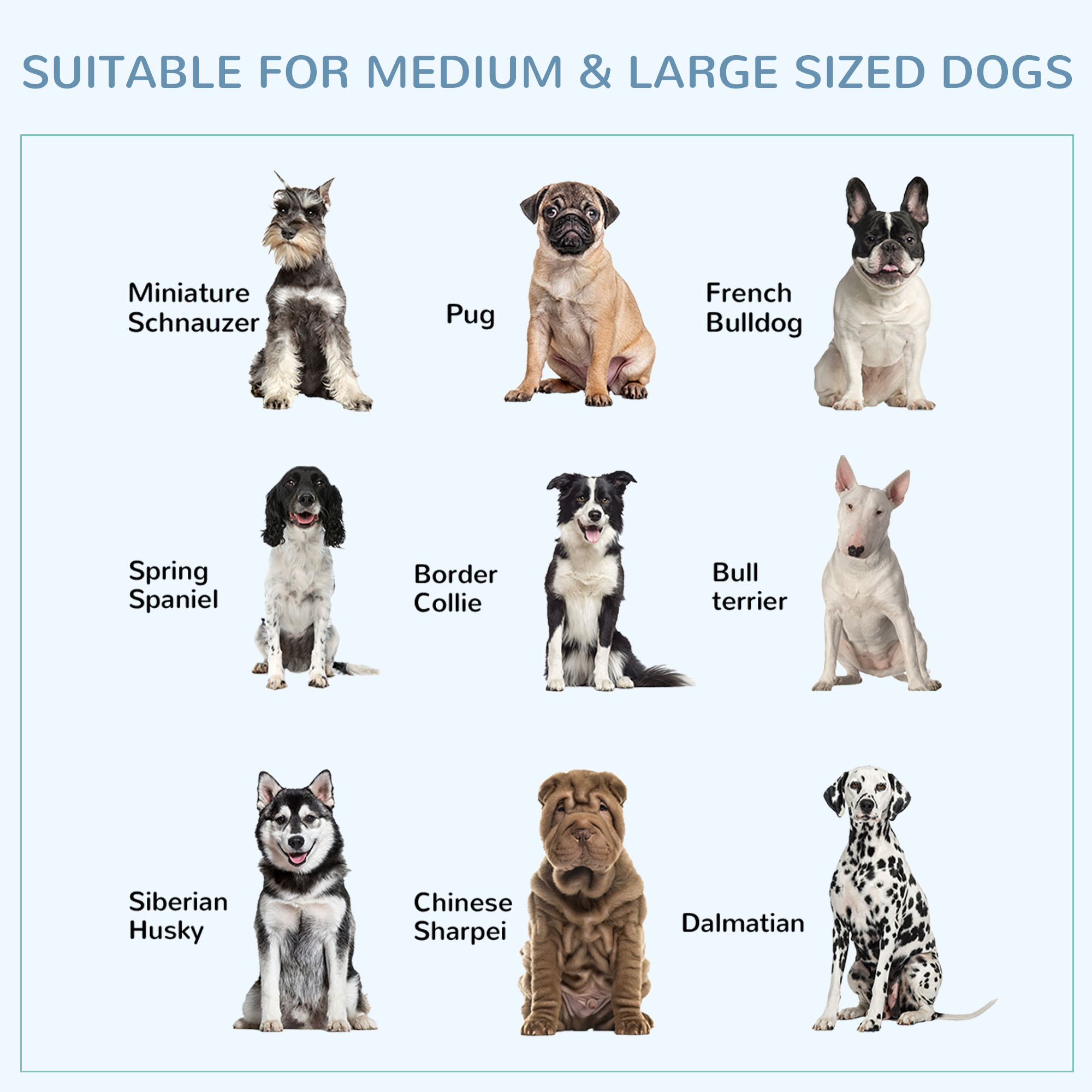  43" Heavy Duty Dog Crate Metal Cage Kennel with Lockable Wheels, Double Door and Removable Tray, Gray