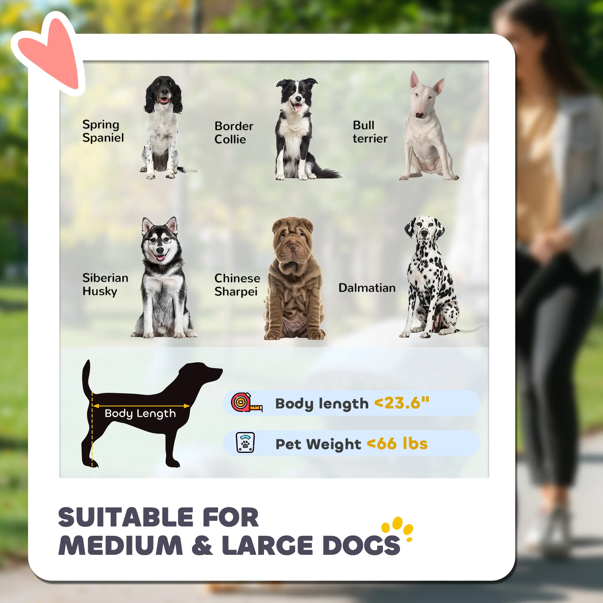 Dog Stroller for Large Medium Small Dogs up to 66 Lbs. 23.5" in Body Length, One-Click Foldable Pet Cat Stroller with Storage, Shock Absorption Wheels, Mesh Win