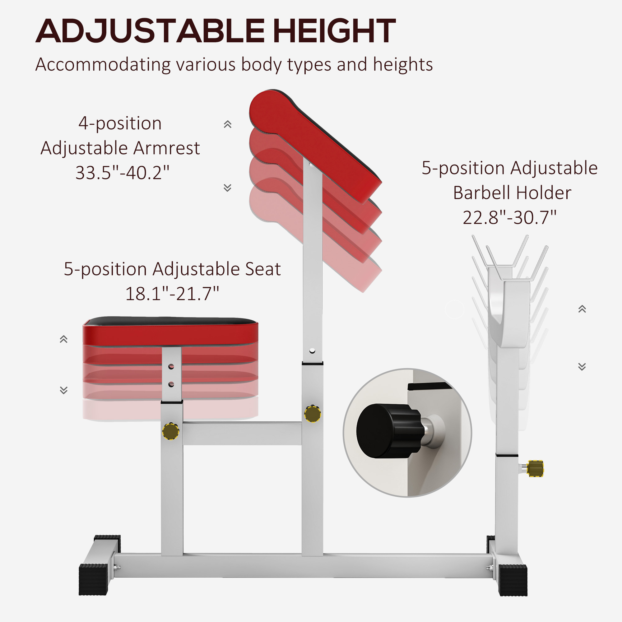 Banc de curl de prédicateur de 265 LBS pour l'entraînement de force – Image 2