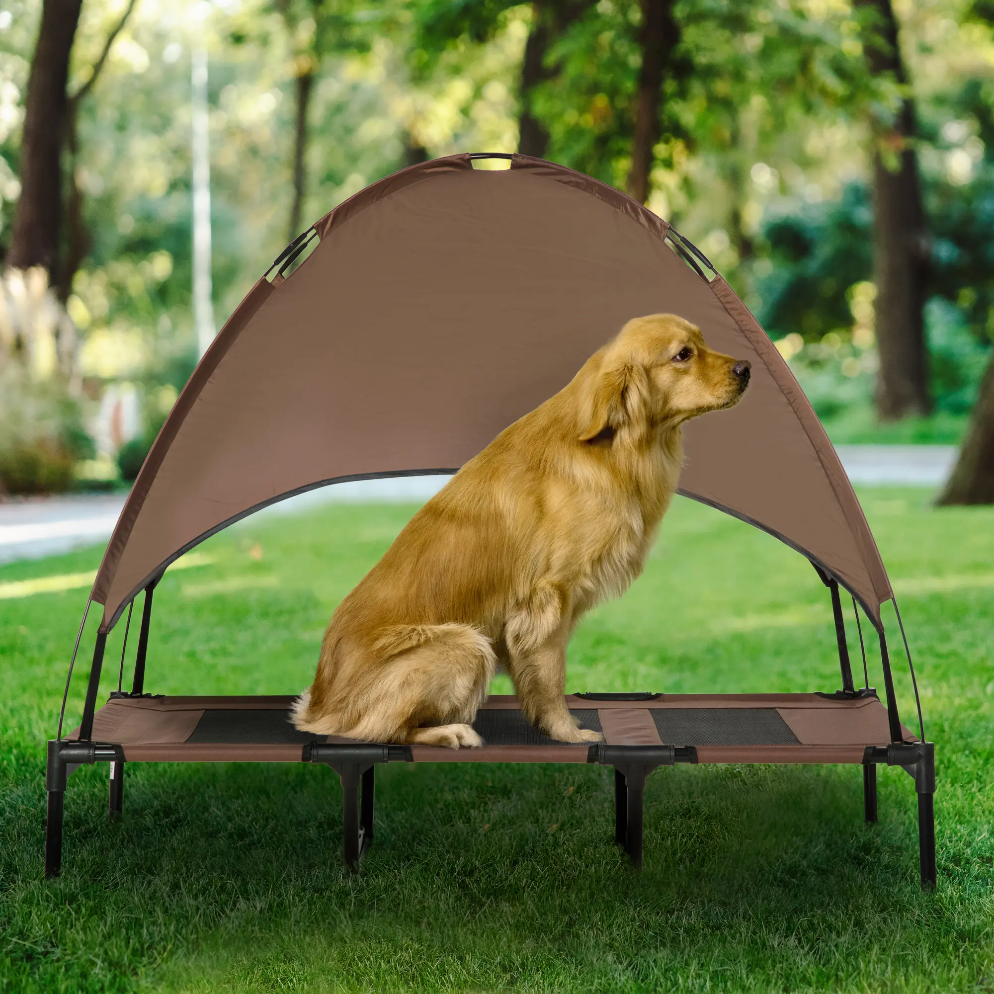 48" x 36" Elevated Portable Dog Cot