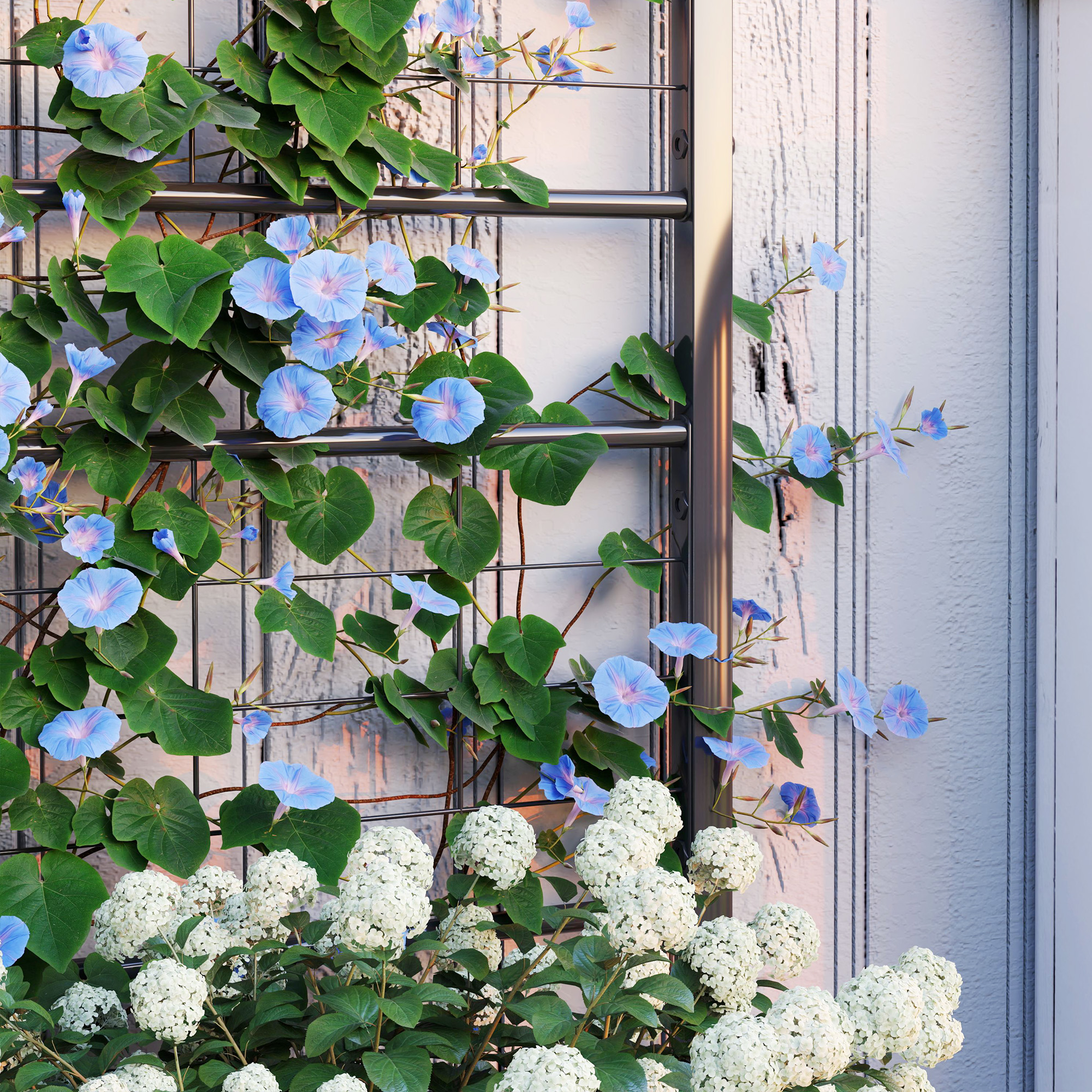 Galvanized Raised Garden Bed with Trellis