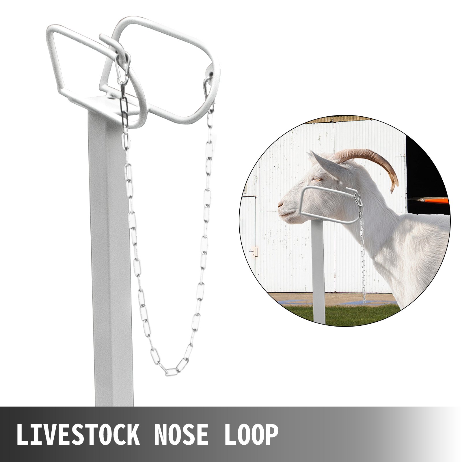 Trimmständer Für Schafe Und Ziegen Mit Verstellbarem Kopfstück_voghion.com