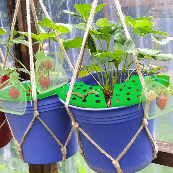 8Set Home Strawberry Planting Kit With 2 Sturdy Legs Inchlde 16 Strawberry Plant Supports 40 Insect-proof Mesh Bag Reusable Strawberry Growing Racks Frame Protecting Strawberry Plants 5