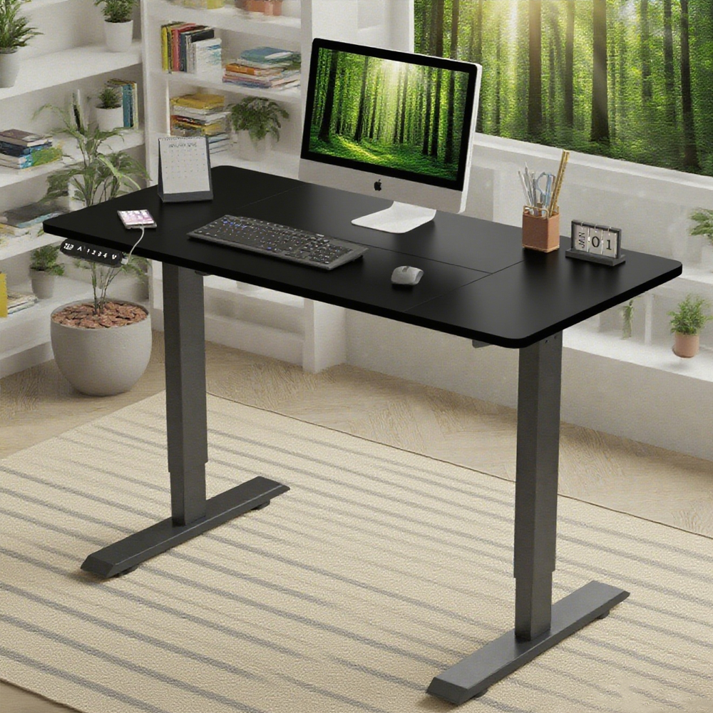 Electric Standing Desk Height Adjustable Desk For Home And Office Computer Table Gaming Desk Modern Luxiury Table 55 Lift-up Desk 6