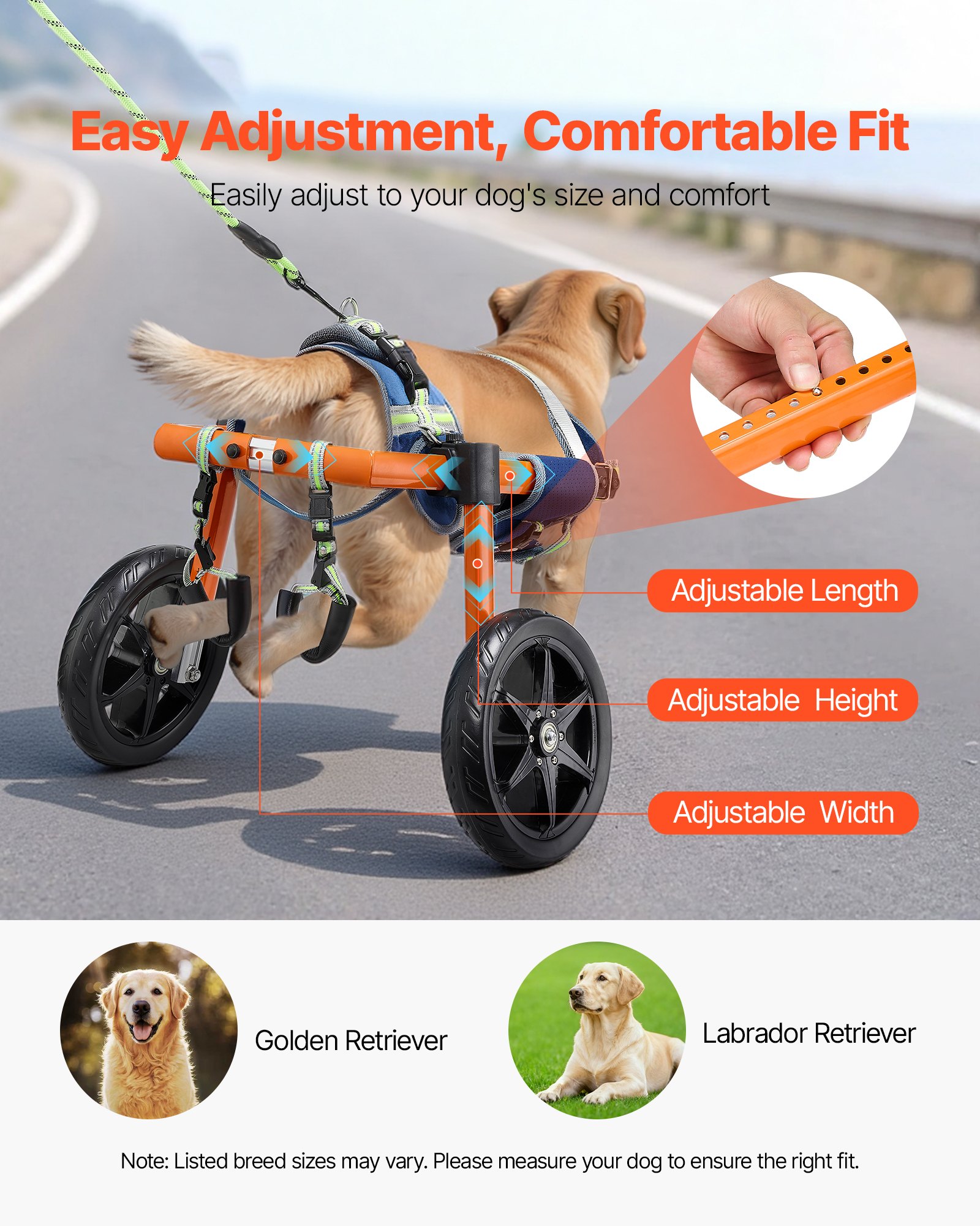 Dog Wheelchair For Back Legs, Lightweight 2 Wheels Pet Height, Width & Length — image 2