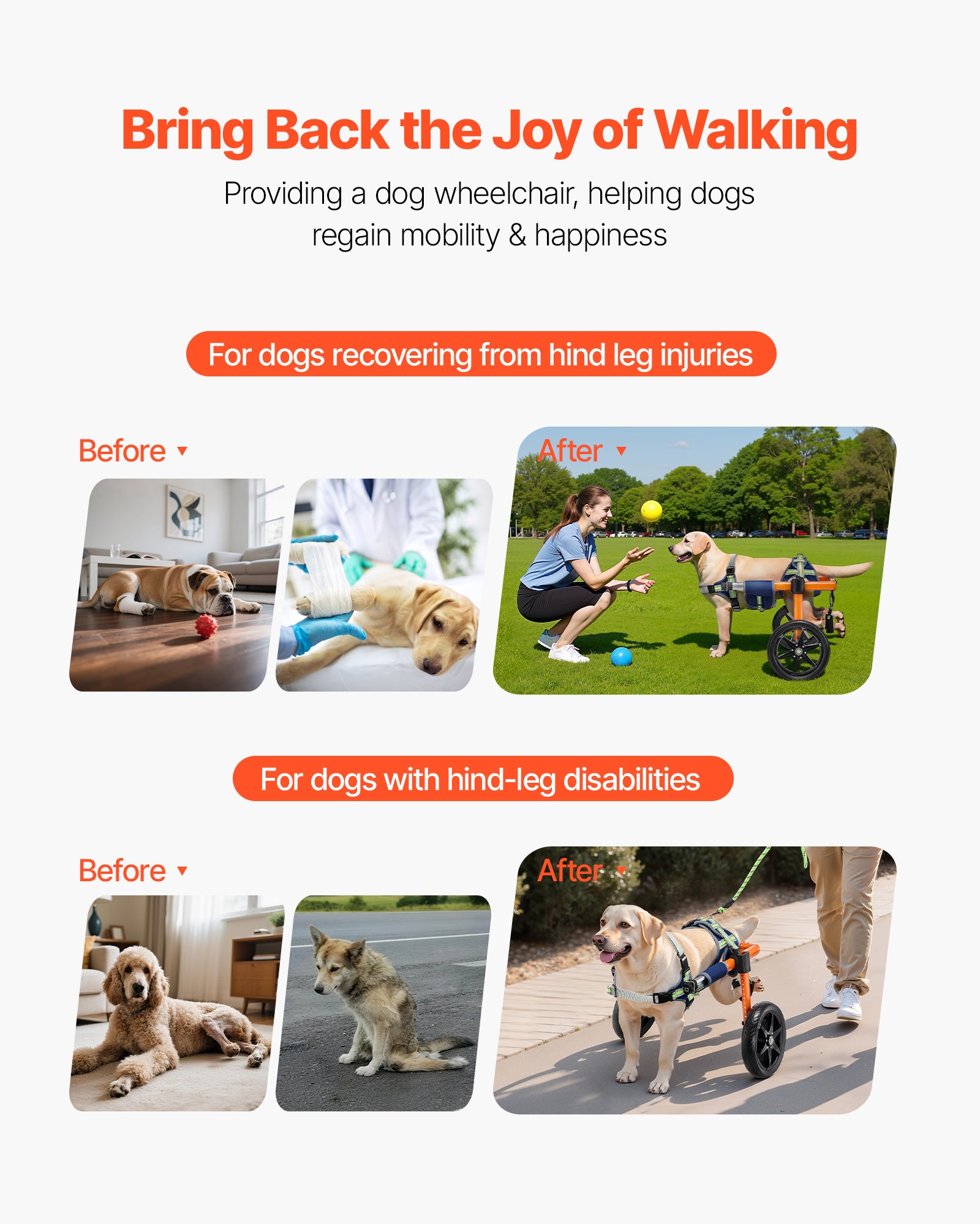Dog Wheelchair For Back Legs, Lightweight 2 Wheels Pet Height, Width & Length — image 3