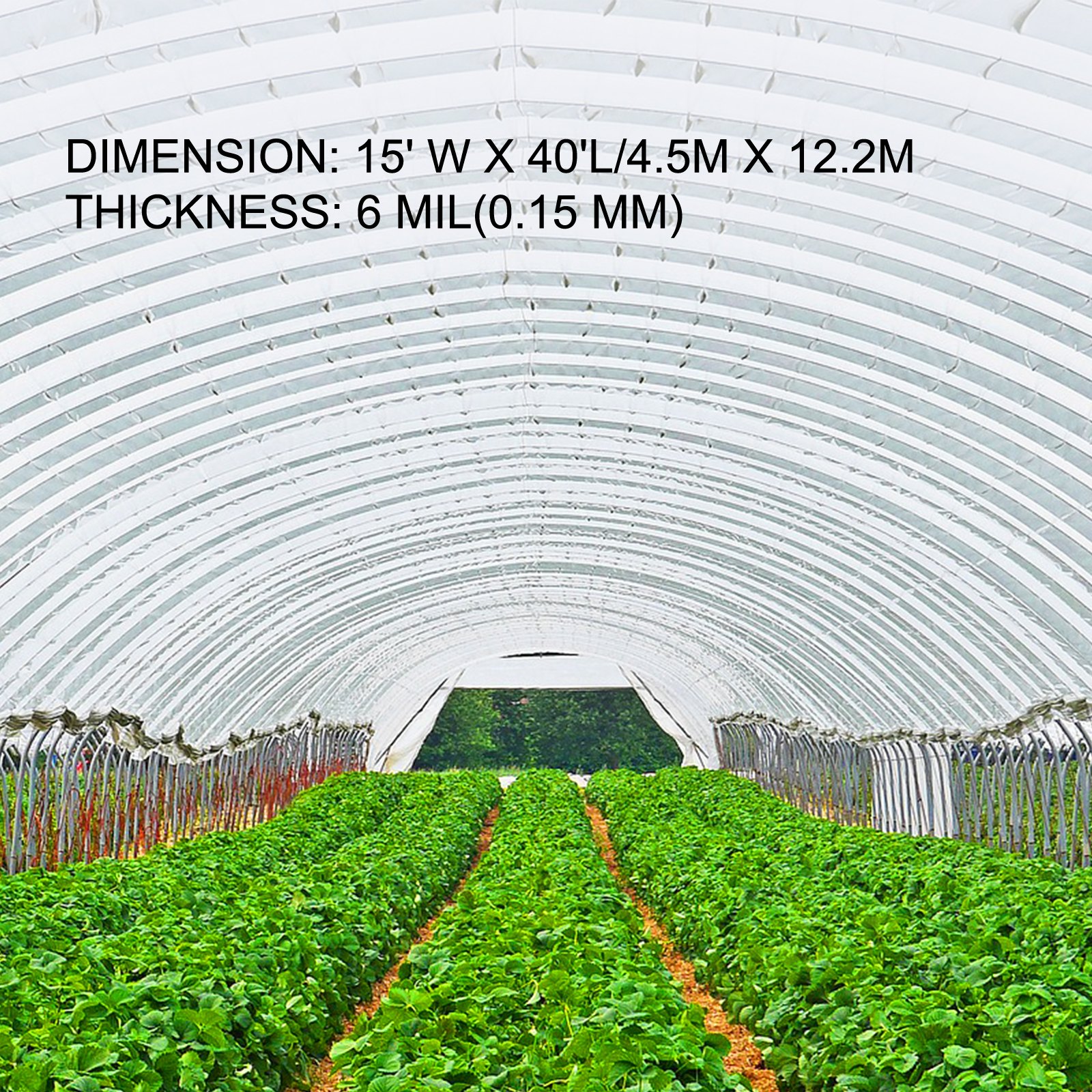 Greenhouse Film 4.5 X 12.2 M,Greenhouse Polyethylene 0.1524 Mm Thickness — image 3