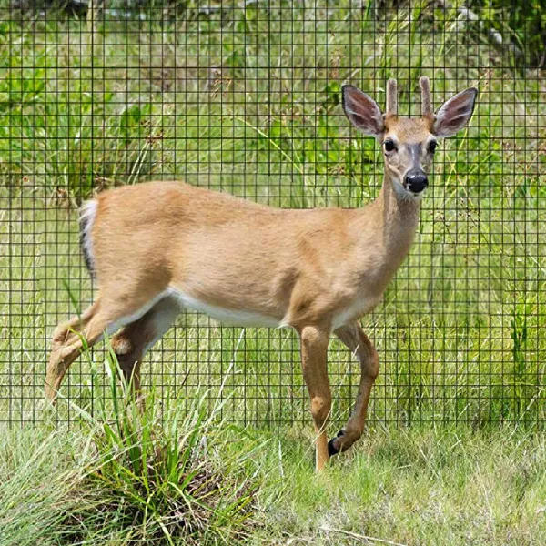 7.5ft*65ft Plastic Deer Netting Offers High-strength Protection Against Deer Intrusion, Suitable For Yards, Farmlands, And Gardens.