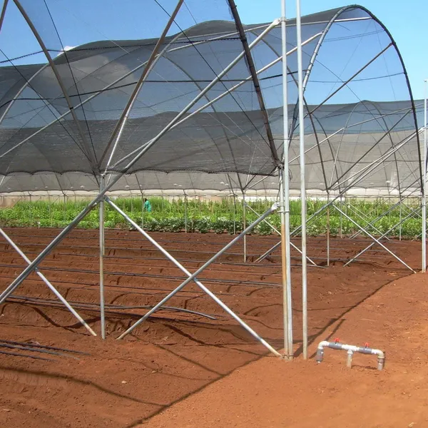 10ft*10ft Black Shade Net Fabric Provides Efficient Shading, Premium Materials, And An Enhanced Plant Growth Environment.