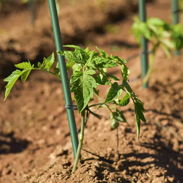 20PC 3/8inch 5ft Dark Green Solid Sticks For Plant Support Offer High Strength, Corrosion Resistance, And Durability, Suitable For Flowers, Vegetables, And Fruit Trees.