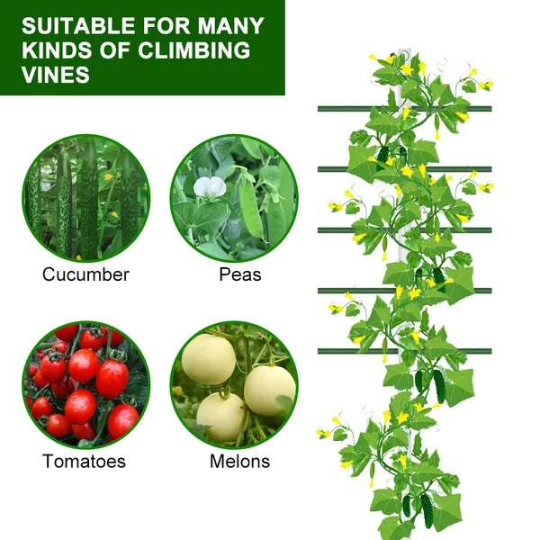 5ft*1.64ft 2PC  White Round Tube Climbing Trellis, Stylish, Simple, Durable, And Creates A Beautiful Space Filled With Greenery.