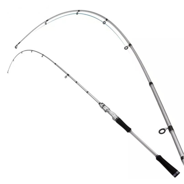 Fishing Rod Carbon Fiber Spinning-casting Rods Carp Poles 2 Sections 6 Ft