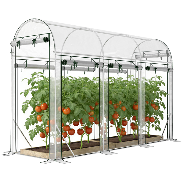 Greenhouse Walk-in Grow House