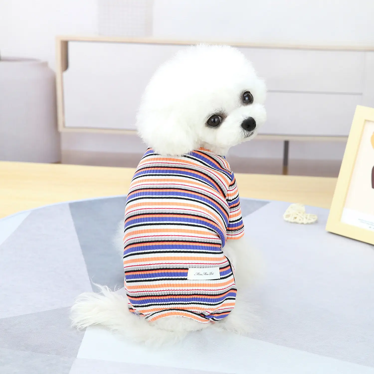 Pet Fashion Simple Color Stripes Loungewear