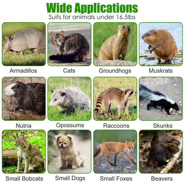 Humane Cat Trap Cage With Gloves Catch Release Live Animal Rodent Cage Collapsible Galvanized Wire For Raccoons Beavers Groundhogs Foxes Armadillos