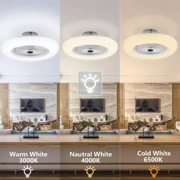 30W LED Ceiling Fan With Light And Remote Control, E27 Lamp, Ceiling Light