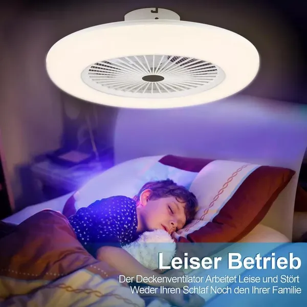 30W LED Ceiling Fan With Light And Remote Control, E27 Lamp, Ceiling Light